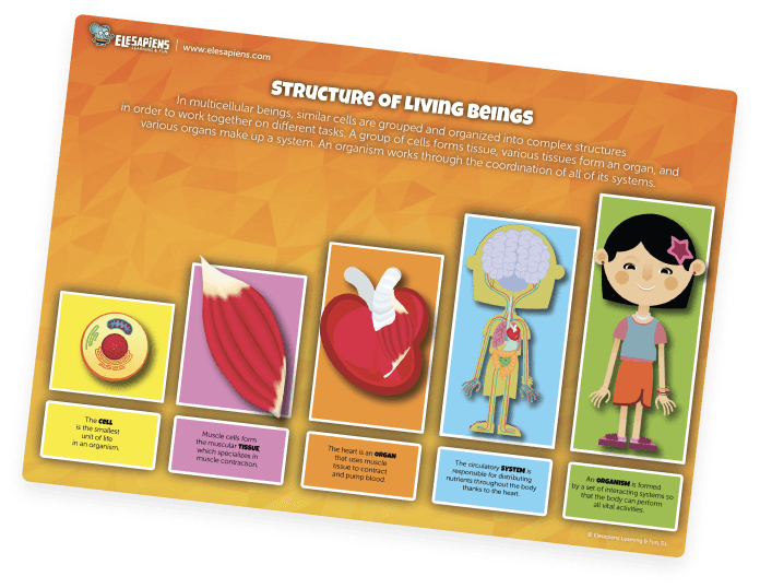 ClickView video resource