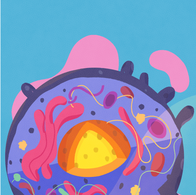 Cellullar Structure and Function video