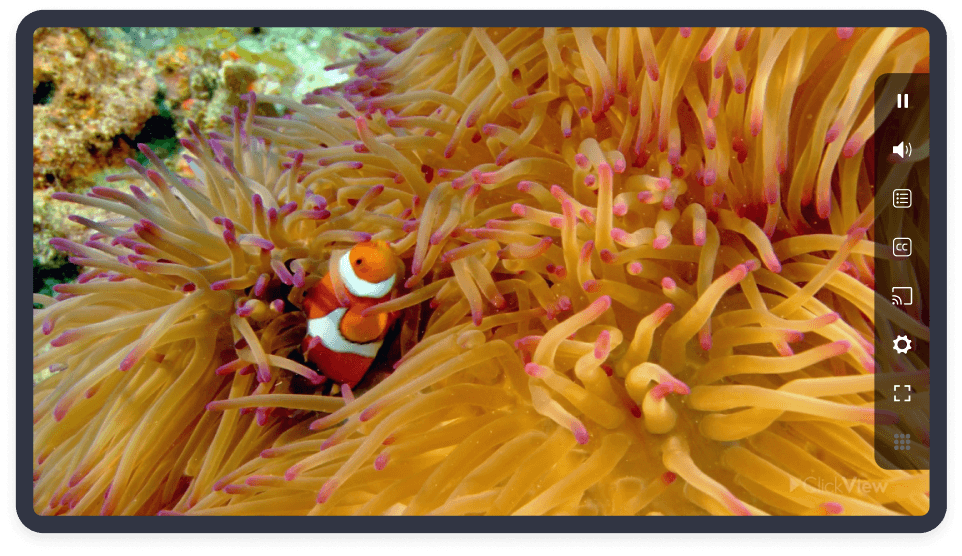 Interactive video on ClickView