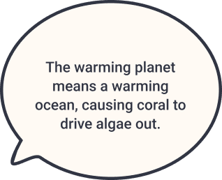 Educational games on my ipad help me learn!