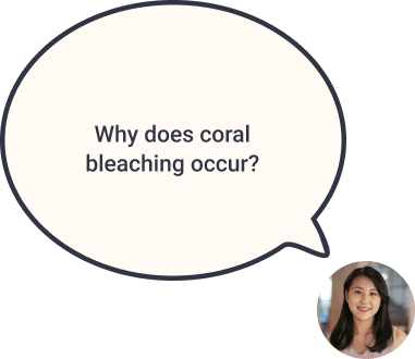 How do computers help you in your every day life?