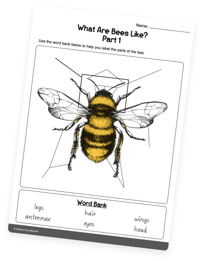 Ready to use feature right hovered