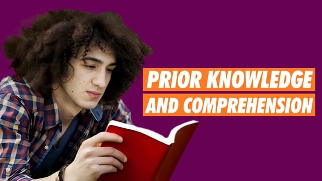 Using Prior Knowledge to Understand a Text