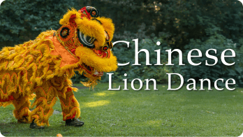 Chinese Lion Dance video